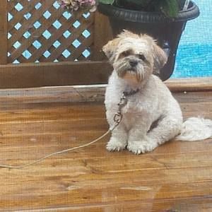 Meet your Posher, Tammy